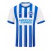 Brighton Danny Welbeck #18 Replica Home Shirt 2024-25 Short Sleeve